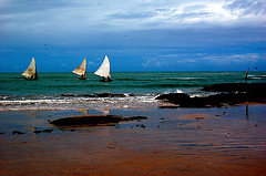 João Maria 11