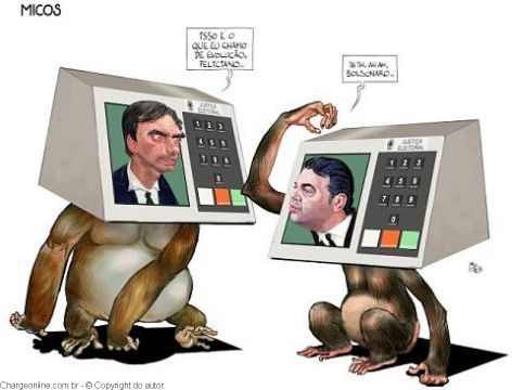 aroeira3 (2)