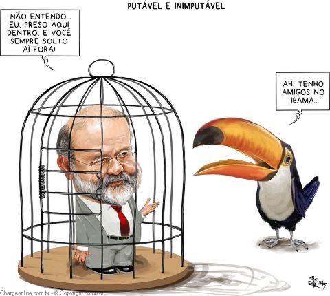 aroeira3 (2)