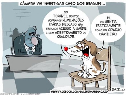 cazo (2)