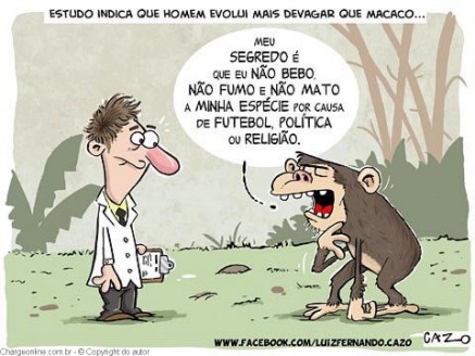 cazo (3)